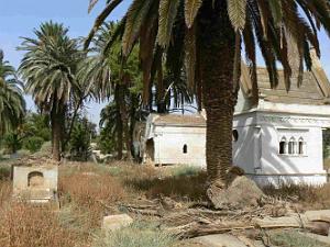 RELIZANE 2009 LE CIMETIERE  (19)